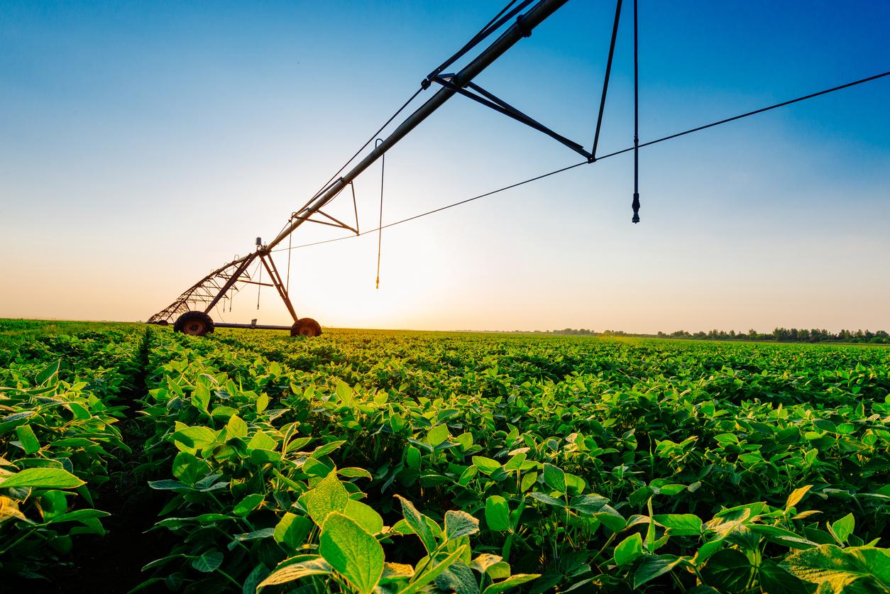 Irrigation system on soybean field in sunset on farm stock photo